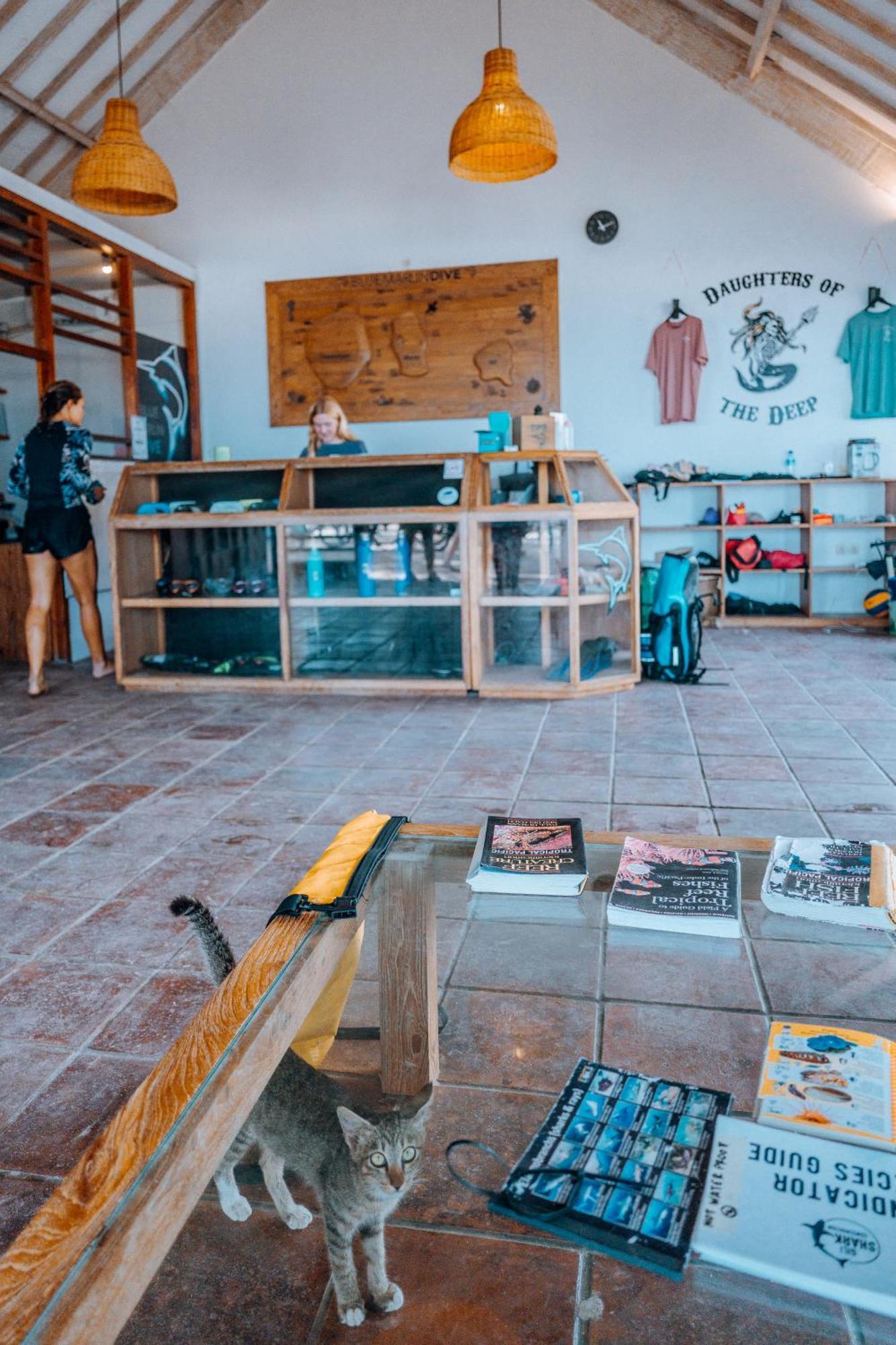 Hotel Blue Marlin Dive Gili Air Extérieur photo